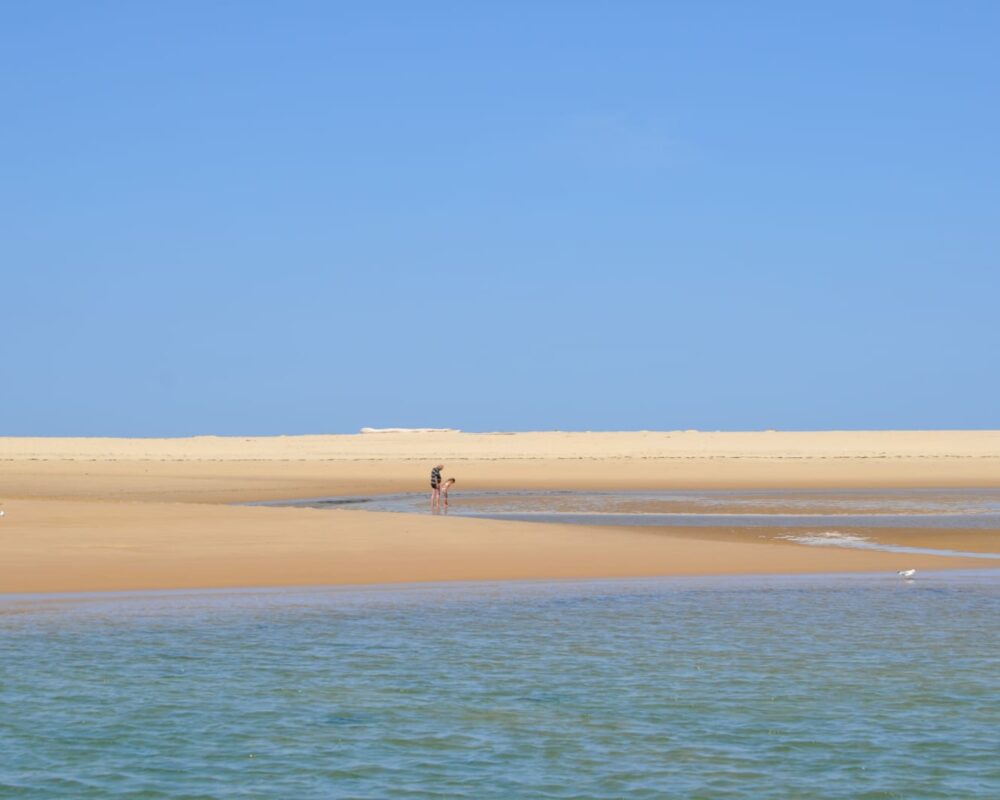 banc d'arguin - dune du pyla - arcachon pinasse