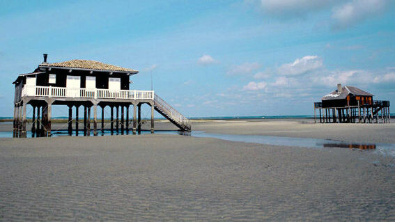 Cap ferret - location de pinasse - Arcachon en pinasse - cabanes tchanquées